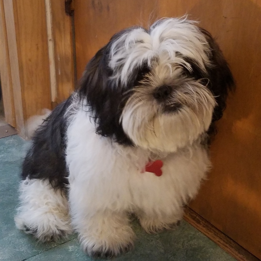 Meet your Posher, Wendy